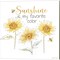Be My Sunshine C by Cynthia Coulter 14" x 14" Canvas Wall Art (Set of 2)